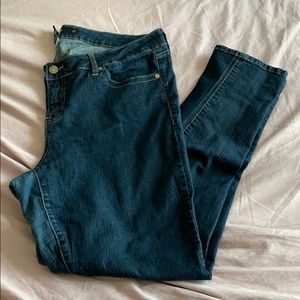 Torrid skinny jeans